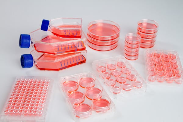 Global Cell and Tissue Culture Supplies Market , By Ty , By Applications , By Regions – Global Forecast to 2026