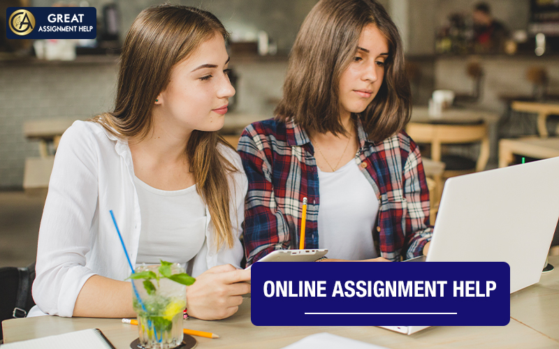How does online Assignment Helper in USA improve grades for students?