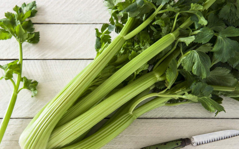 Health Benefits and Nutrition Facts of Celery 010