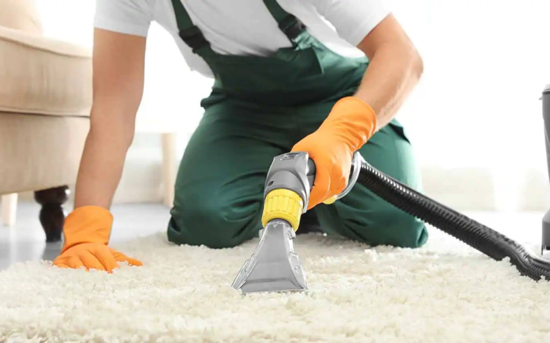 Elevating Cleanliness Standards with Expert Carpet Cleaning Services