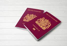 Indian Visa for Anguilla Citizens: Navigating Travel Regulations and Requirements